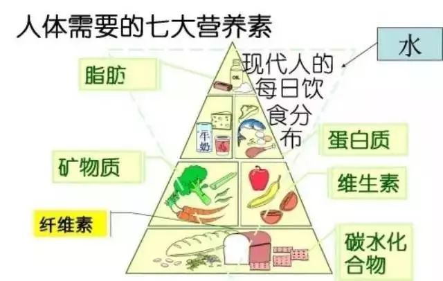 花費(fèi)3萬塊找營(yíng)養(yǎng)師咨詢減肥，梳理出的精華內(nèi)容都在這里！減肥必看！